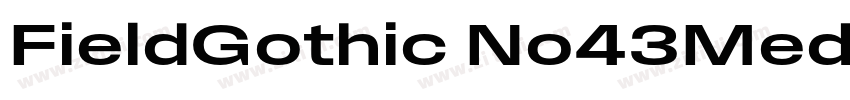 FieldGothic No43Med字体转换